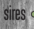 Sires