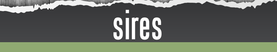 Sires